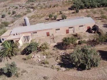 Rustikales Grundstück zum Verkauf in Fiñana