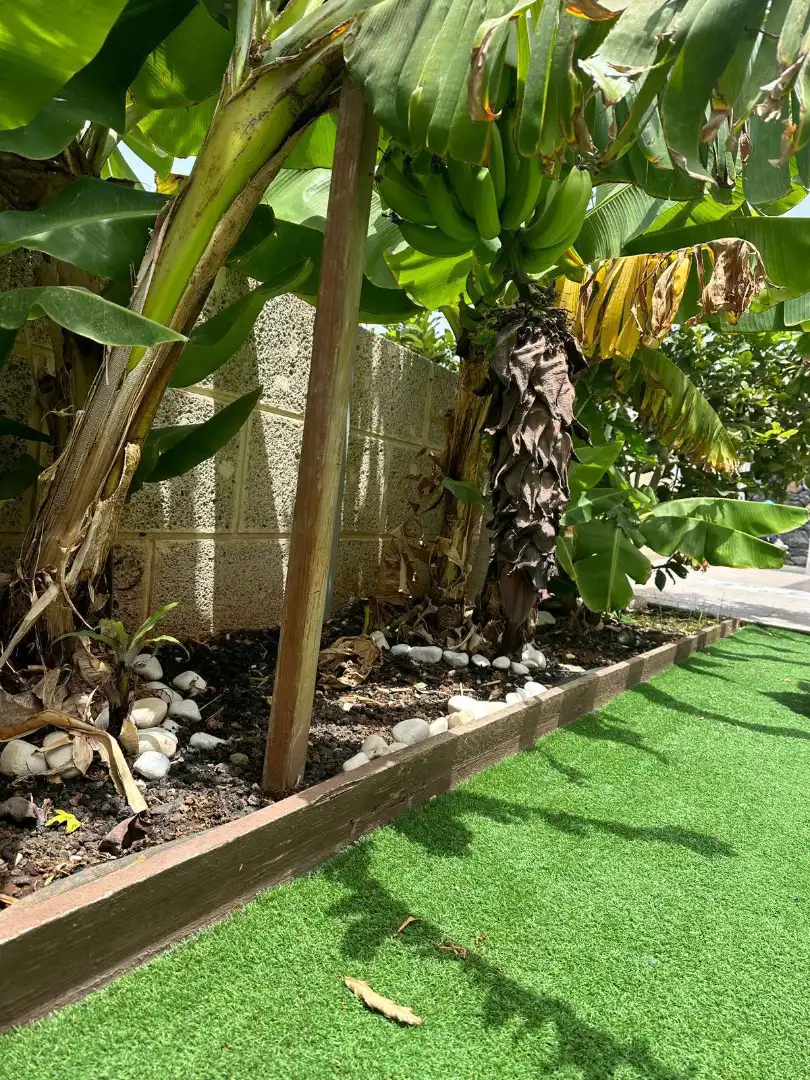 Casa o chalet en venta en Avenida San Francisco, Los Cristianos