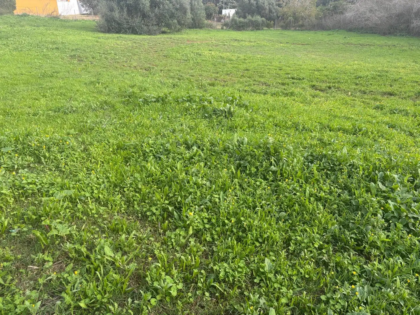 Terreno en venta en Vejer de la Frontera
