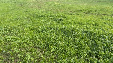 Foto 3 de Terreno en venta en La Muela, Vejer de la Frontera