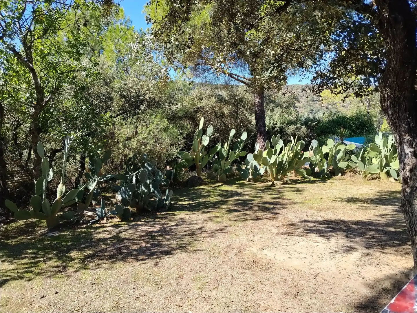 Casa con jardín en venta en Cerro Alarcón, imagen 17
