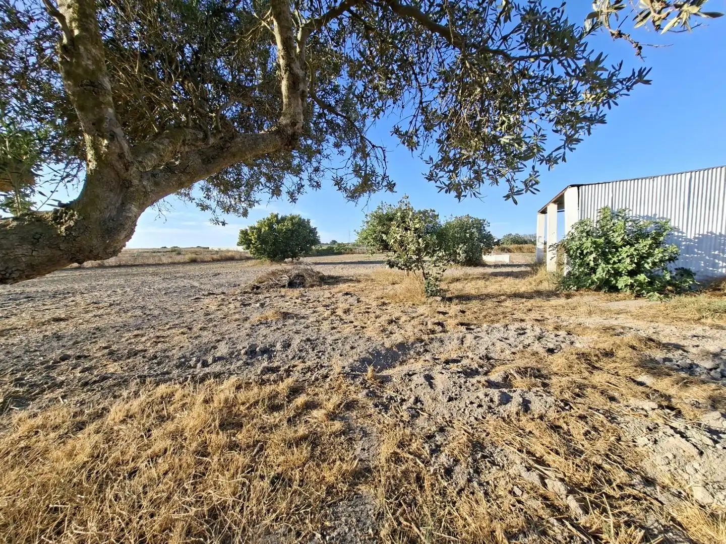 Finca rústica en venda en Chiclana de la Frontera