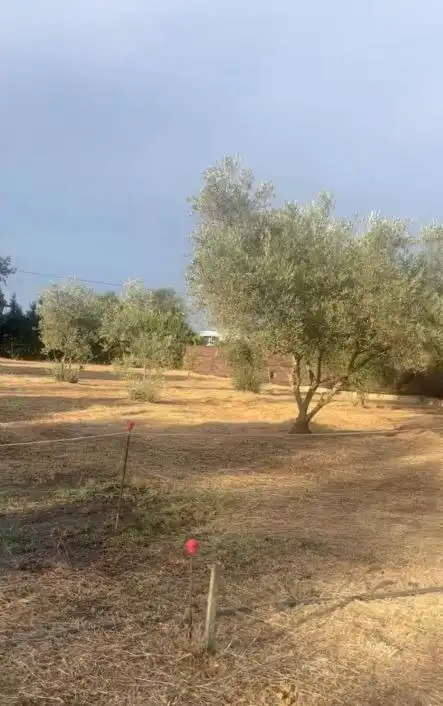 Casa rústica amb piscina en venda a Gibraleón, imagen 33