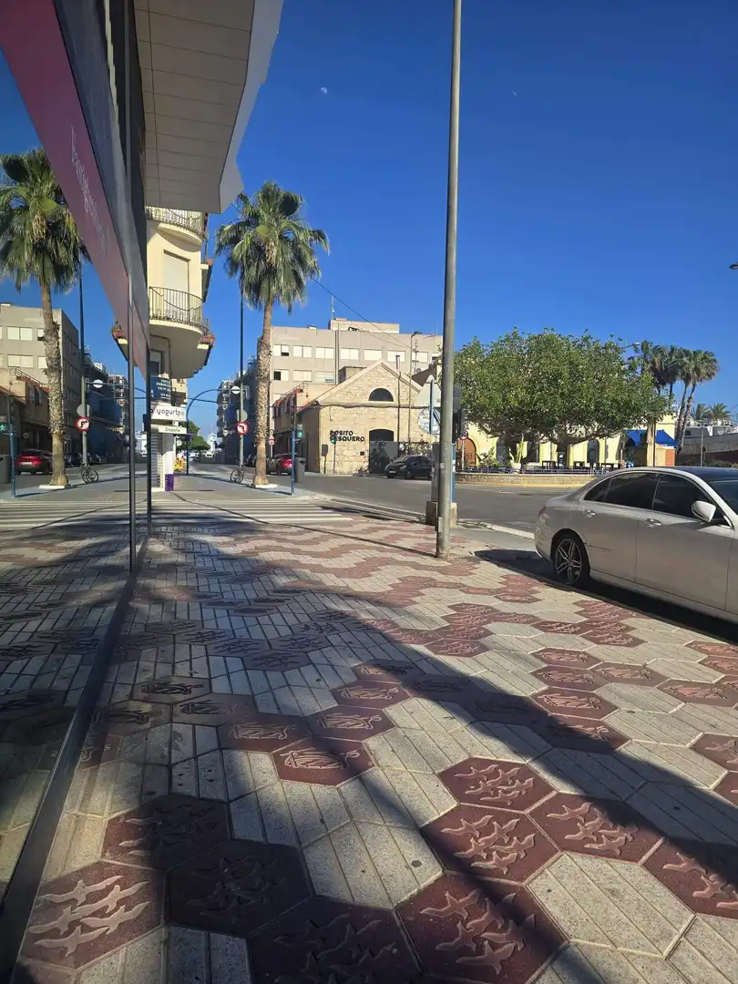 Local comercial en venta en Avenida FERNANDO PEREZ OJEDA, imagen 4