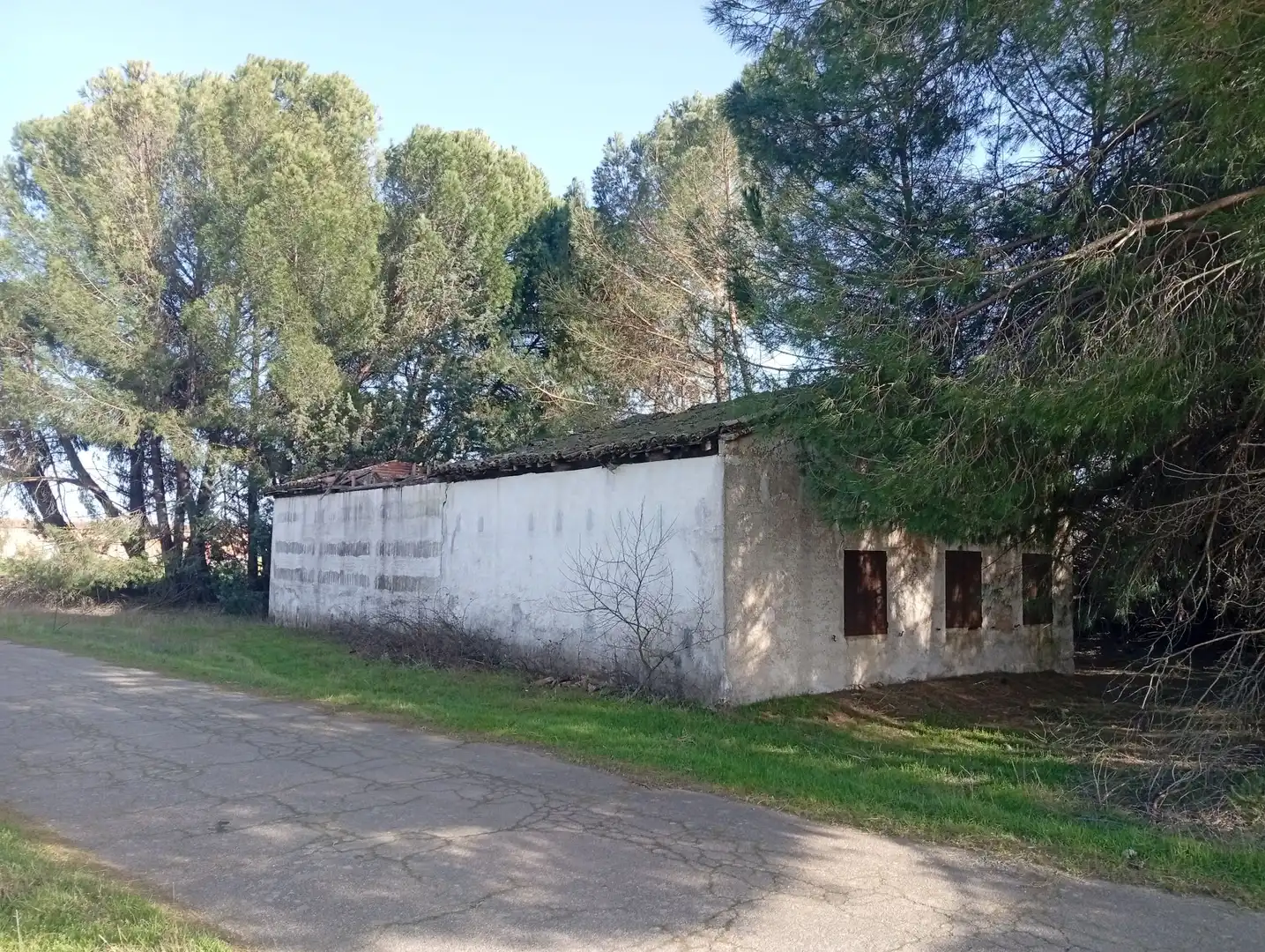Terreni e lotti in vendita a Villanueva de la Vera, imagen 18