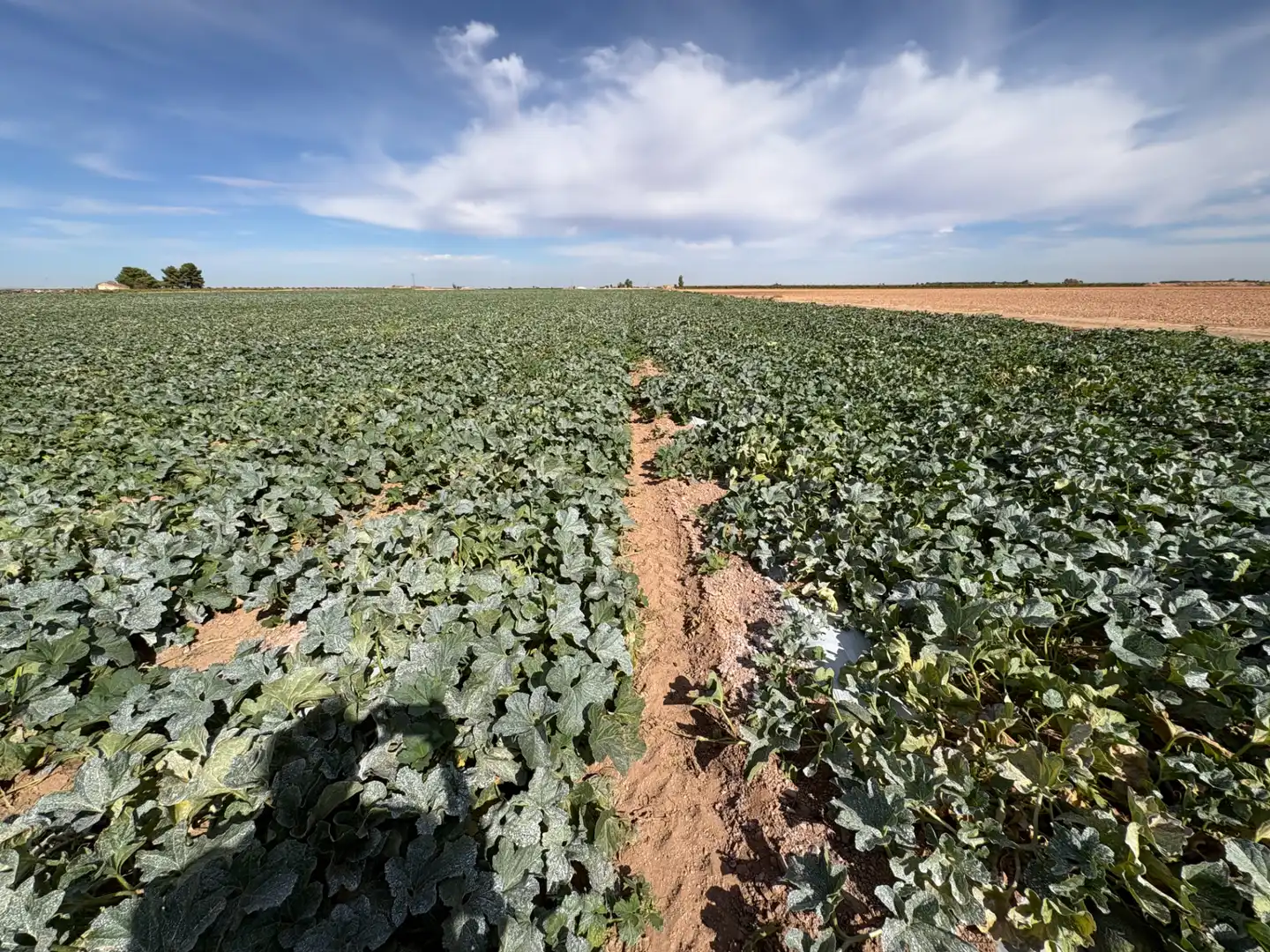 Rural land for sale in CM-400 580, imagen 24