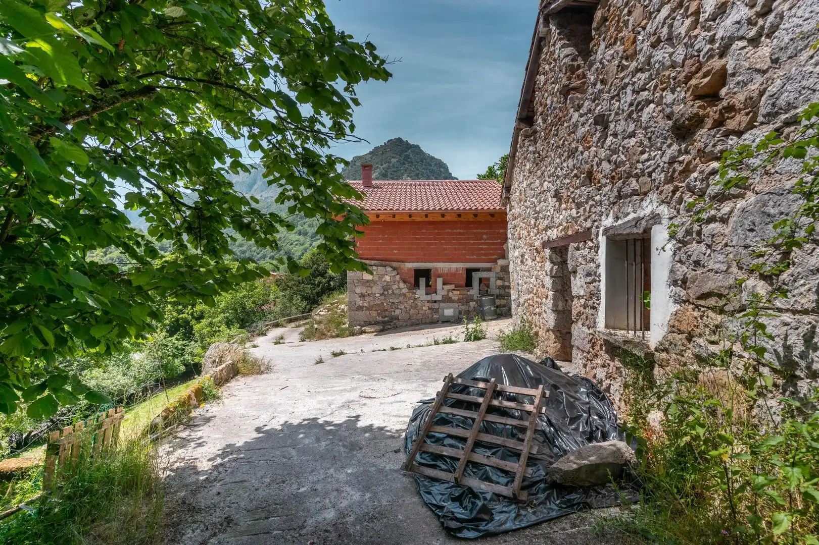 Vista exterior de Terreno en venta en Peñamellera Alta