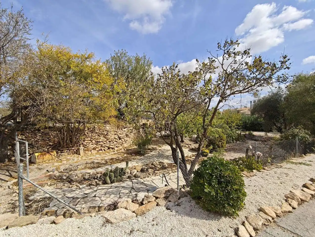 Jardín de Finca rústica en venta en Yecla con Terraza y Amueblado