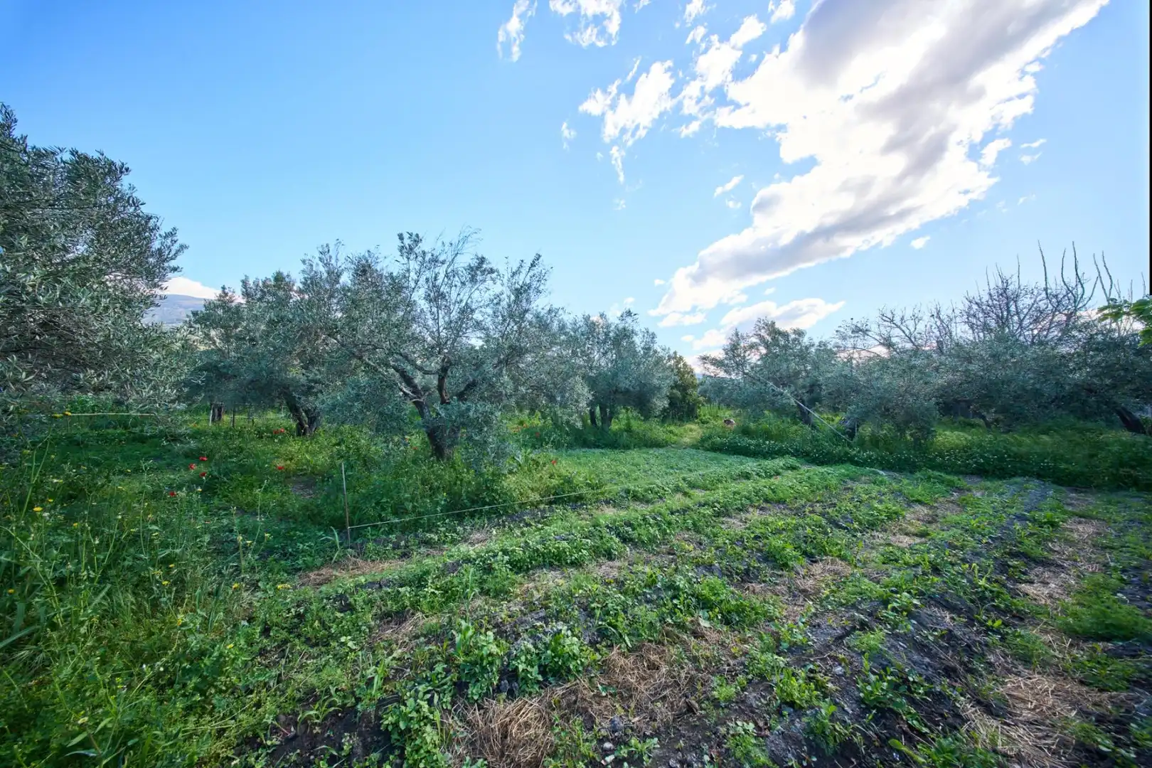 Casa rustica con giardino in vendita a Camino de la Vegueta, imagen 40