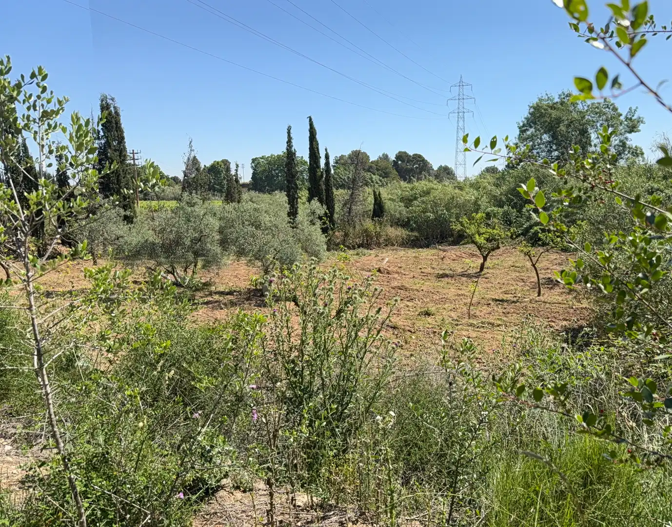 Rustikales Grundstück zum Verkauf in Camí del Cementiri 97, imagen 16