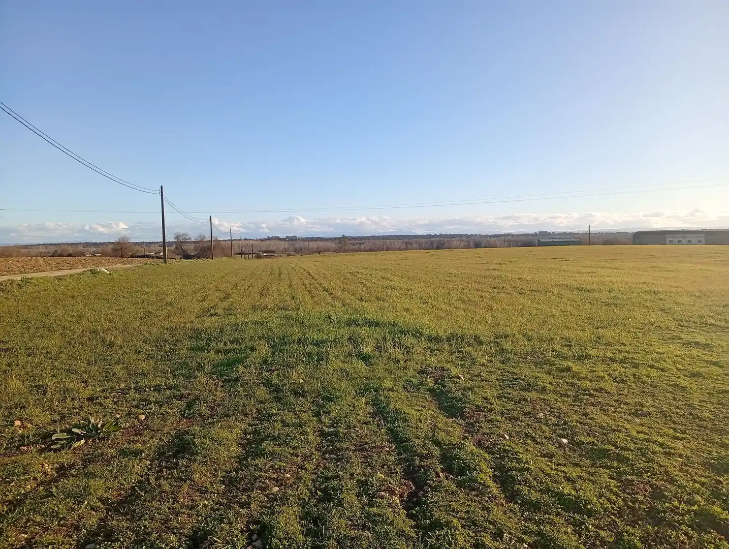 Land for sale in Losar de la Vera