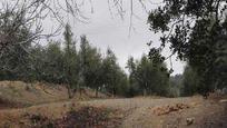 Land for sale in Reus