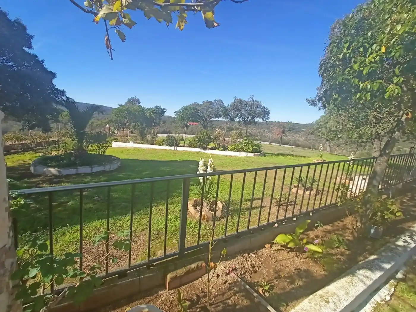 Jardí de Casa o xalet en venda en Alburquerque amb Jardí privat, Piscina i Moblat