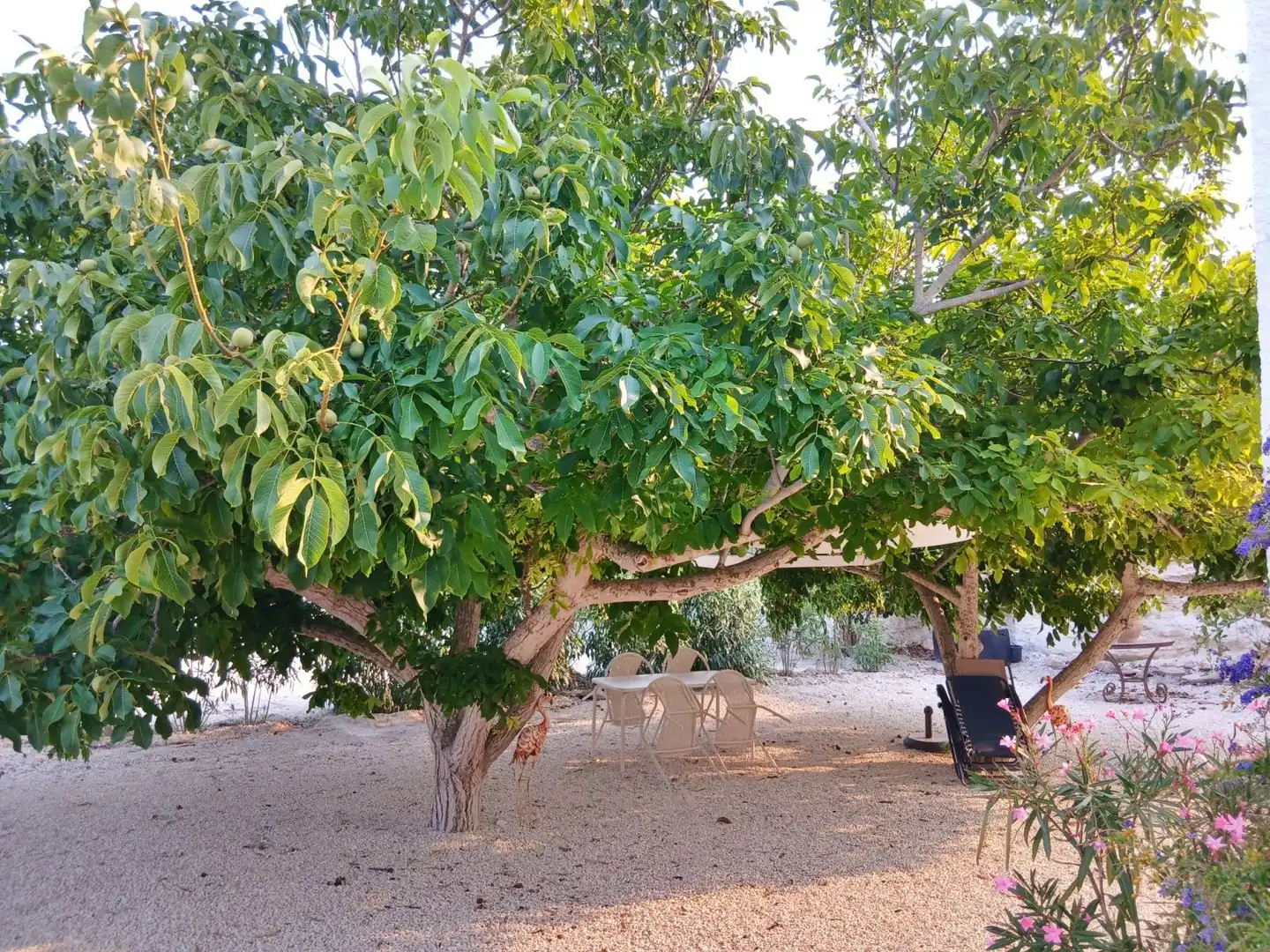 Jardín de Casa o chalet de alquiler en Teulada con Aire acondicionado, Terraza y Trastero
