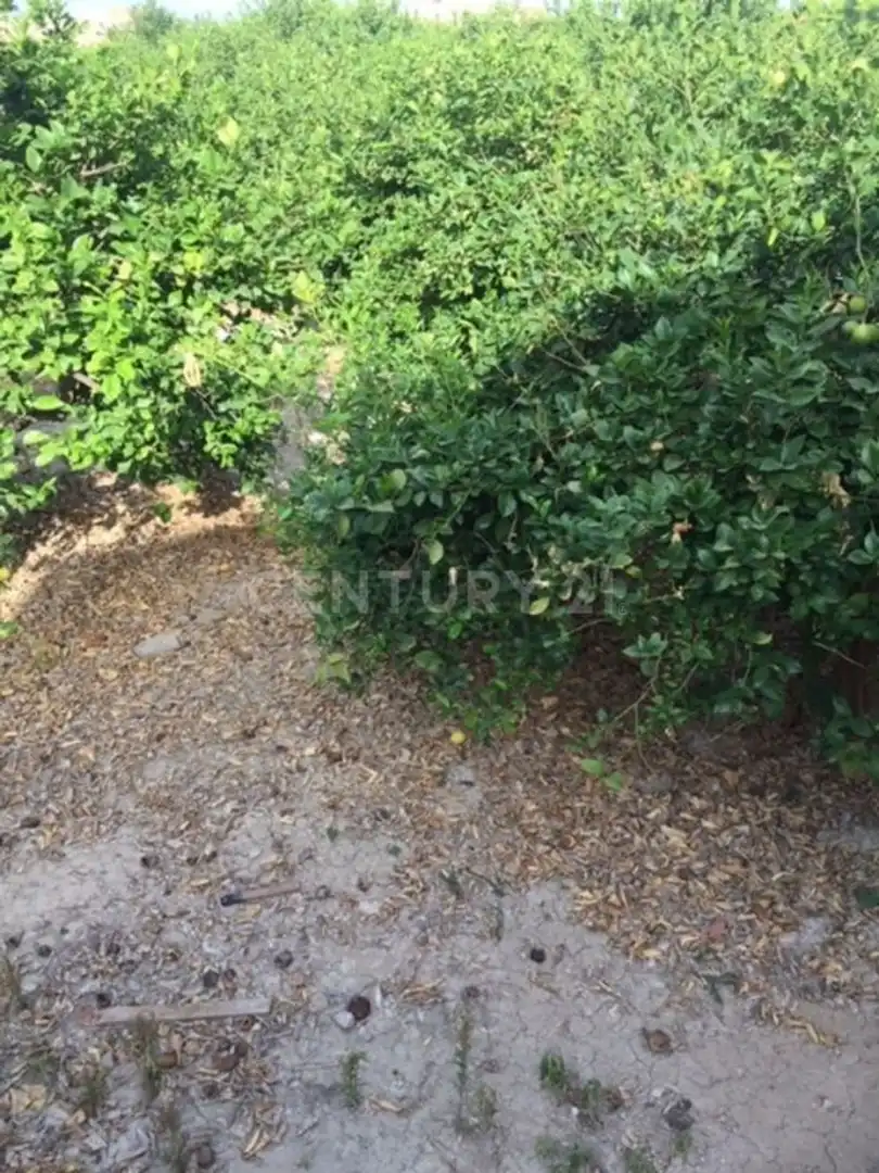 Land for sale in Diseminado, 1, Aledo