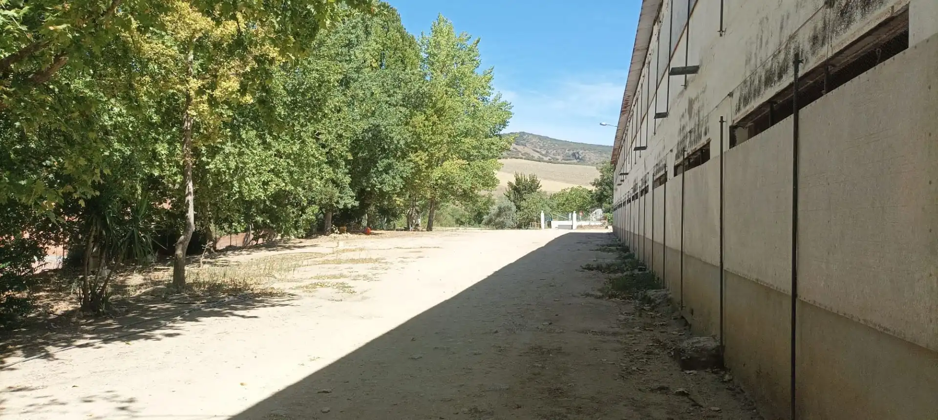 Industrial building to rent in Arriate, imagen 6