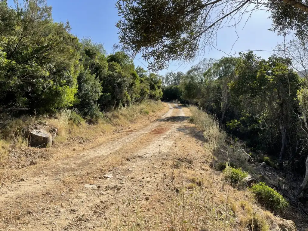 Country homes for sale in Castellar de la Frontera  with Private garden