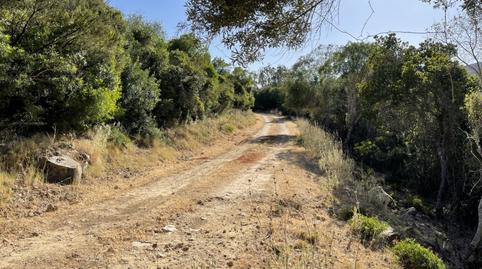 Foto 5 de Finca rústica en venda a Castellar de la Frontera, Cádiz
