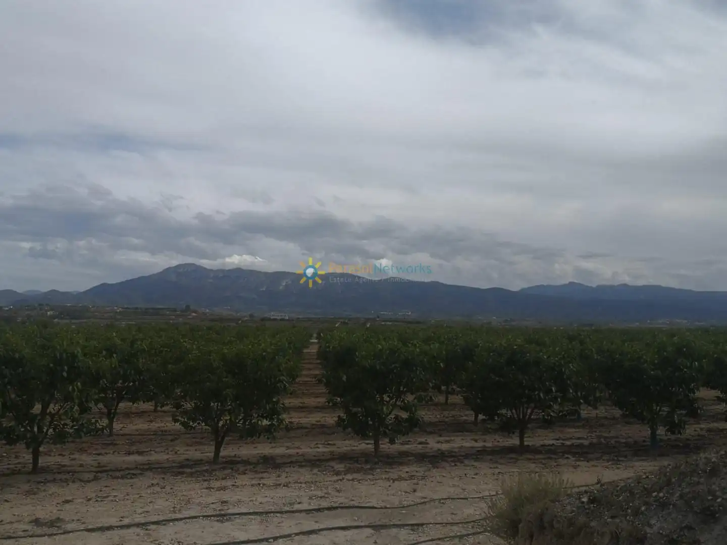 Rural land for sale in Benigànim, imagen 7