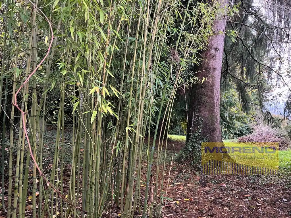 Maison à vendre à O Incio, imagen 20