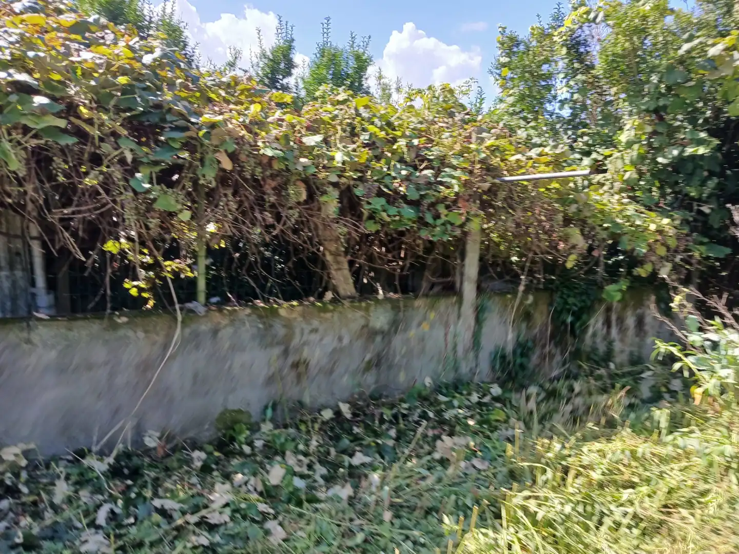 Land for sale in Cedeira