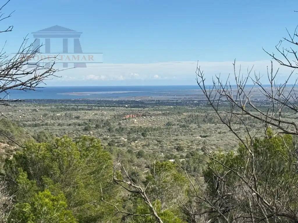 Country house for sale in Poligono 82 Paraje 6 Camp-Redo, imagen 29