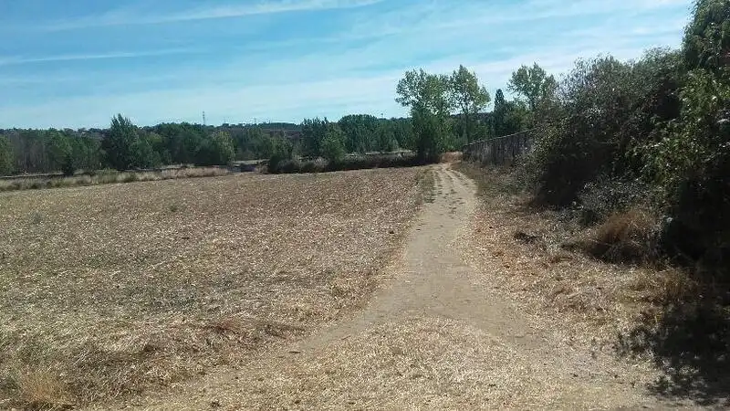 Residencial en venta en 5, PARCELA, El Ejido - Santa Ana