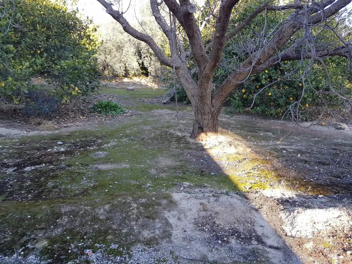 Jardín de Finca rústica en venta en Ulea