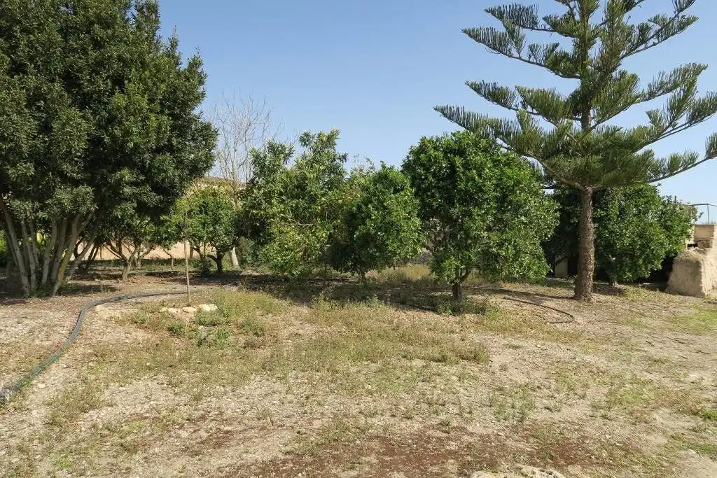 Casa rústica amb piscina en venda a Ariany, imagen 34