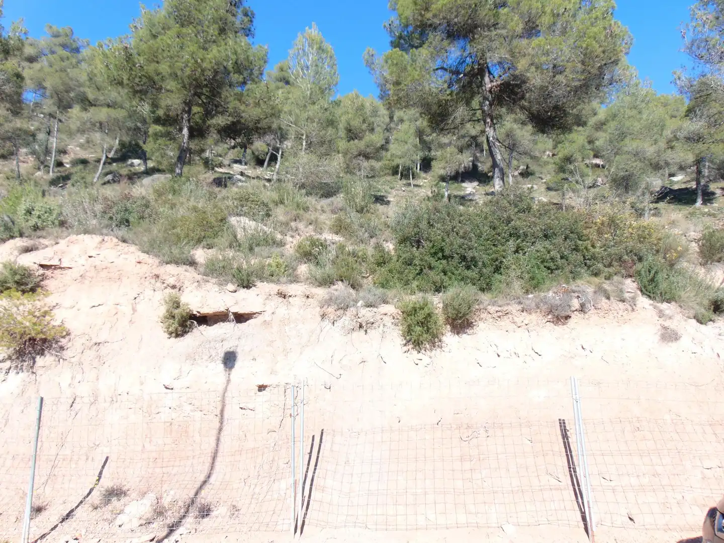 Residential land for sale in de la Verge de Montserrat, imagen 5