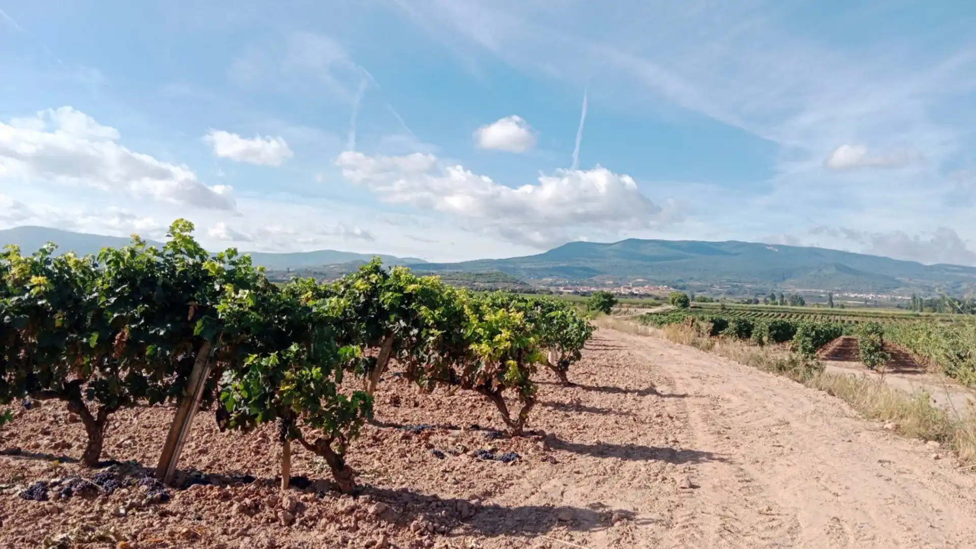 Vista exterior de Finca rústica en venta en Entrena