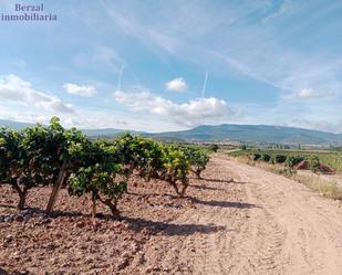 Vista exterior de Finca rústica en venda en Entrena