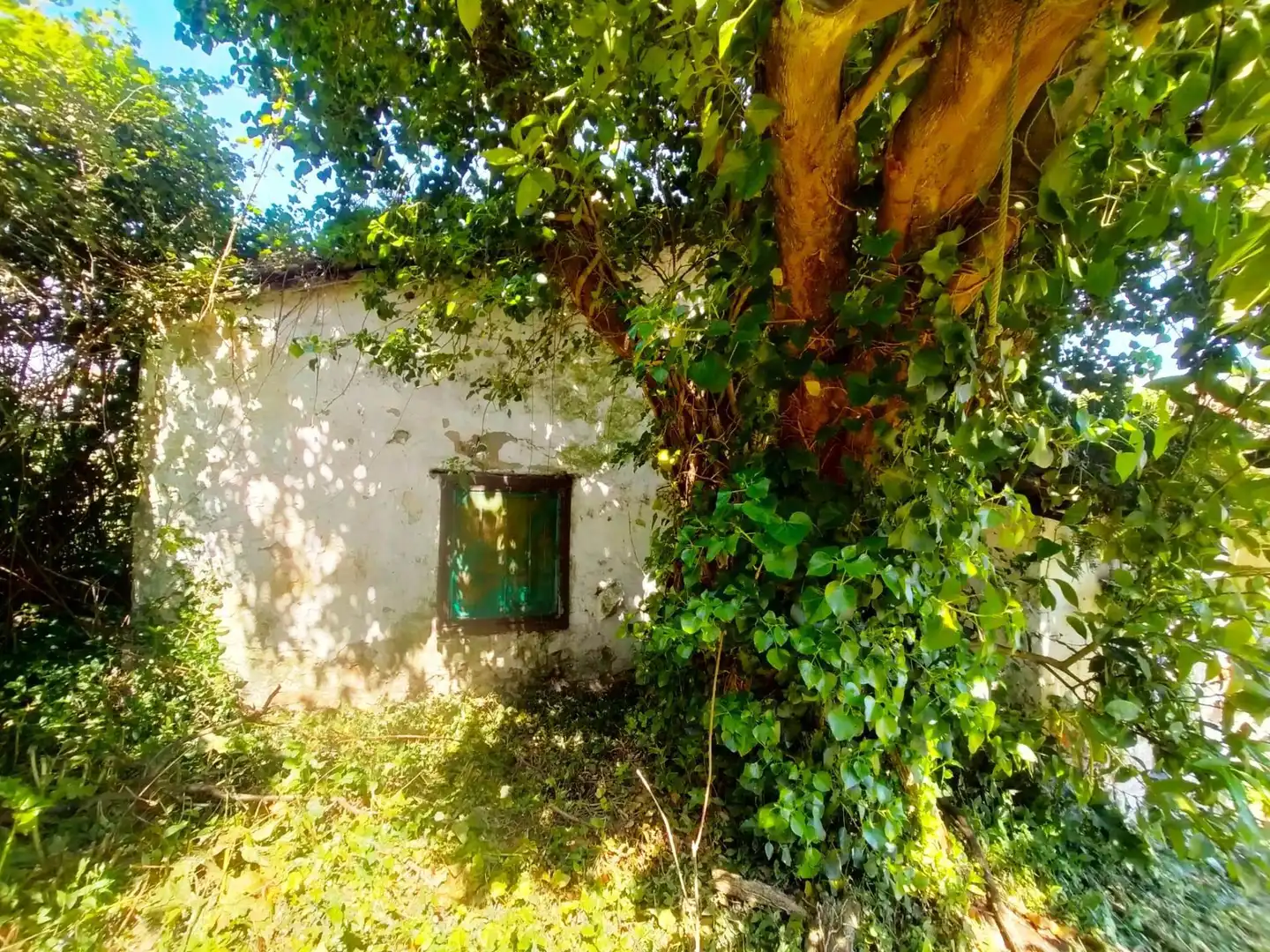 Terreni e lotti in vendita a Pravia, imagen 10