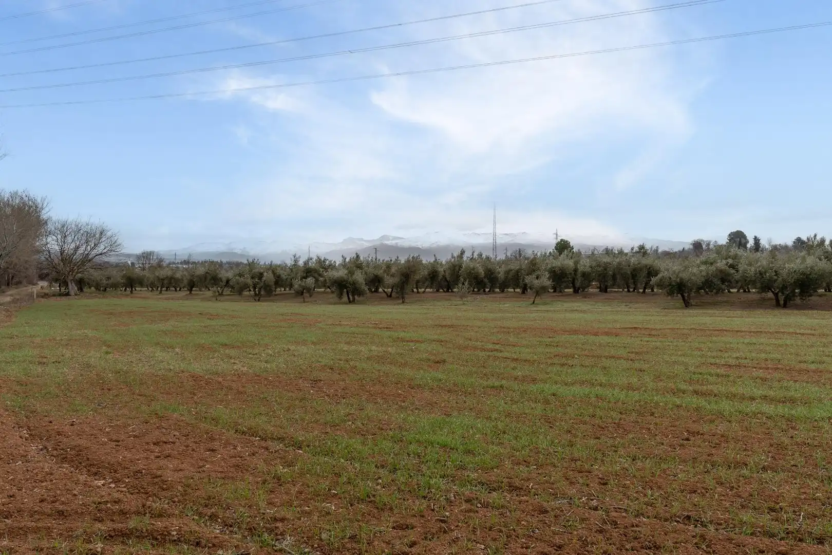 Terrenys i solars en venda a Polígono 23 Parcela 63 LA ZANJA. ALBOLOTE (GRANAD 23, imagen 43