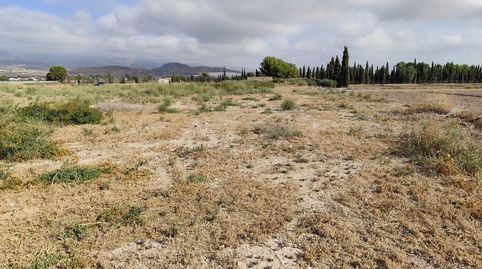 Dos Parcelas en Venta en Totana, immagine 4