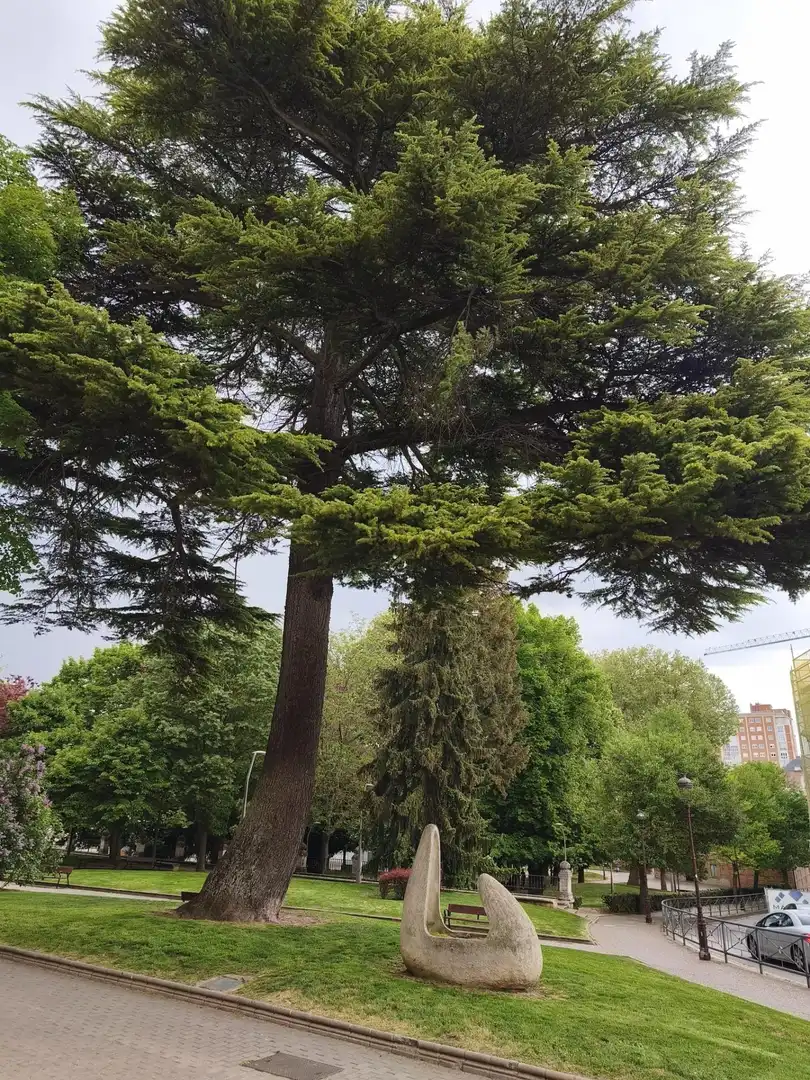Jardí de Àtic en venda en Burgos amb Calefacció i Moblat