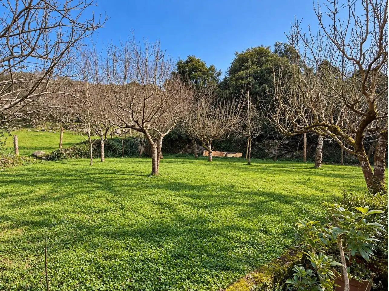 Casa o xalet en venda en Voto, Cantabria