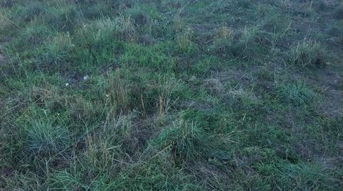 TERRENO  ASTORGA SANTA CLARA, immagine 3
