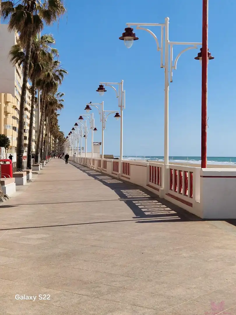 Vista exterior de Piso en venta en Cádiz con Aire acondicionado, Terraza y Trastero