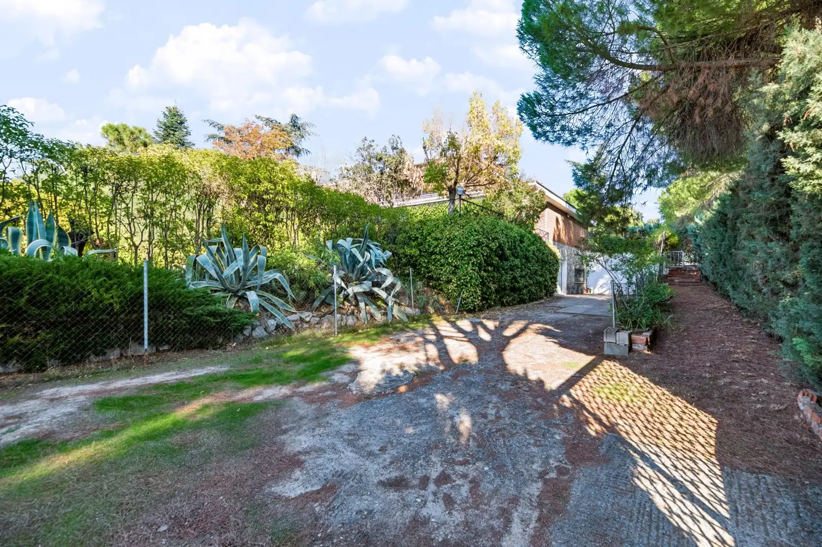 Jardí de Casa o xalet en venda en El Bosque