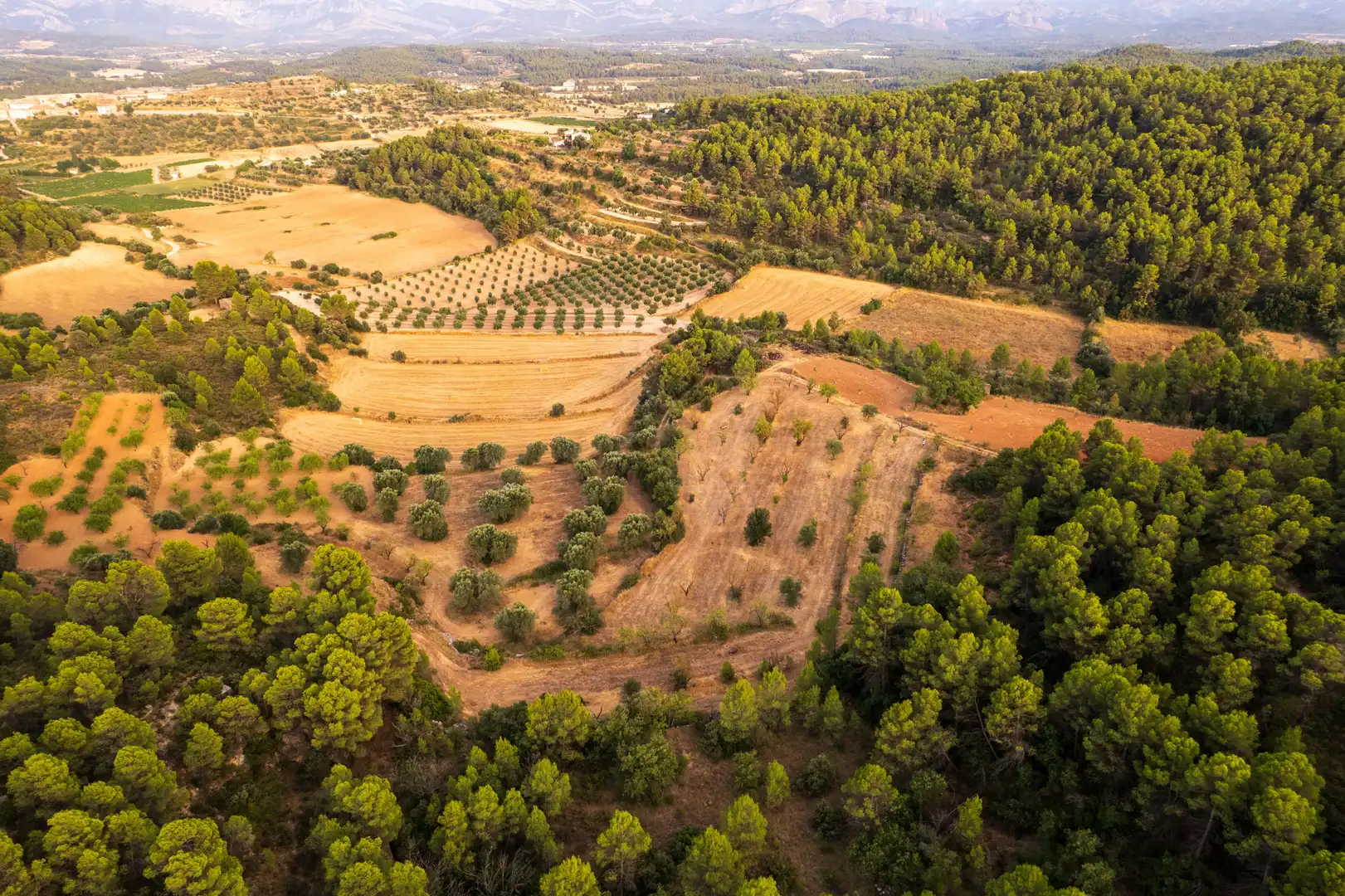Terreni e lotti in vendita a Lledó, imagen 10