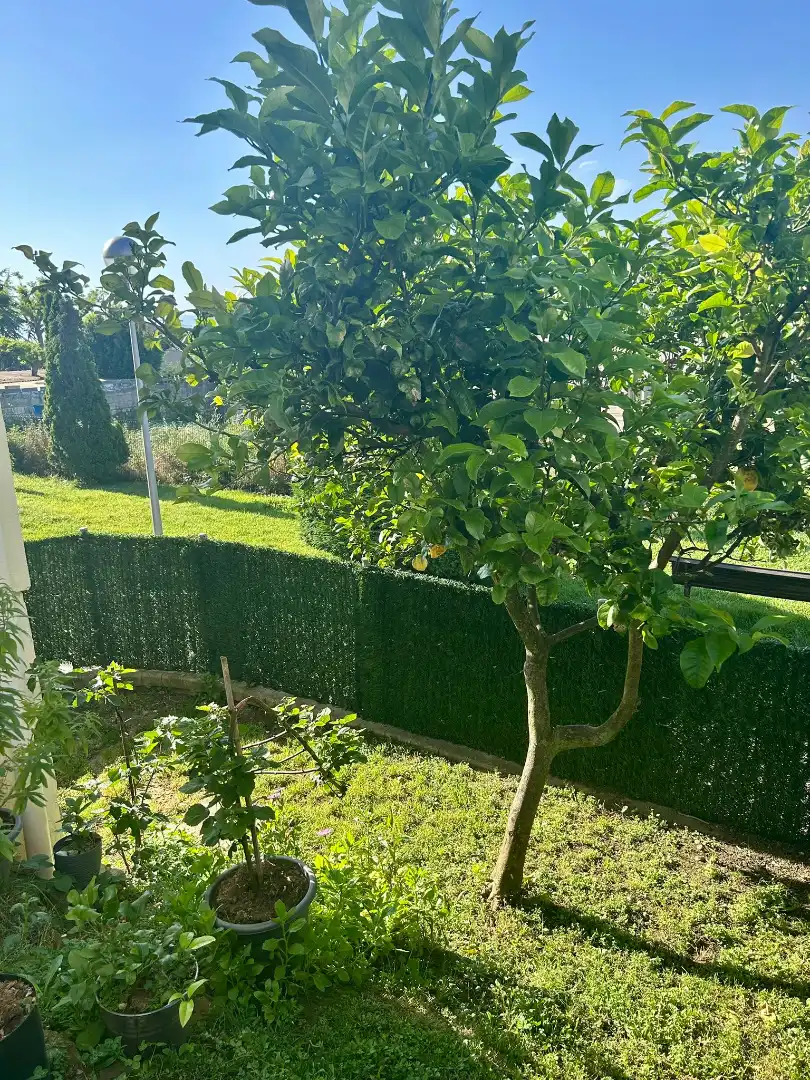 Jardí de Casa o xalet en venda en Santander amb Calefacció, Jardí privat i Parquet