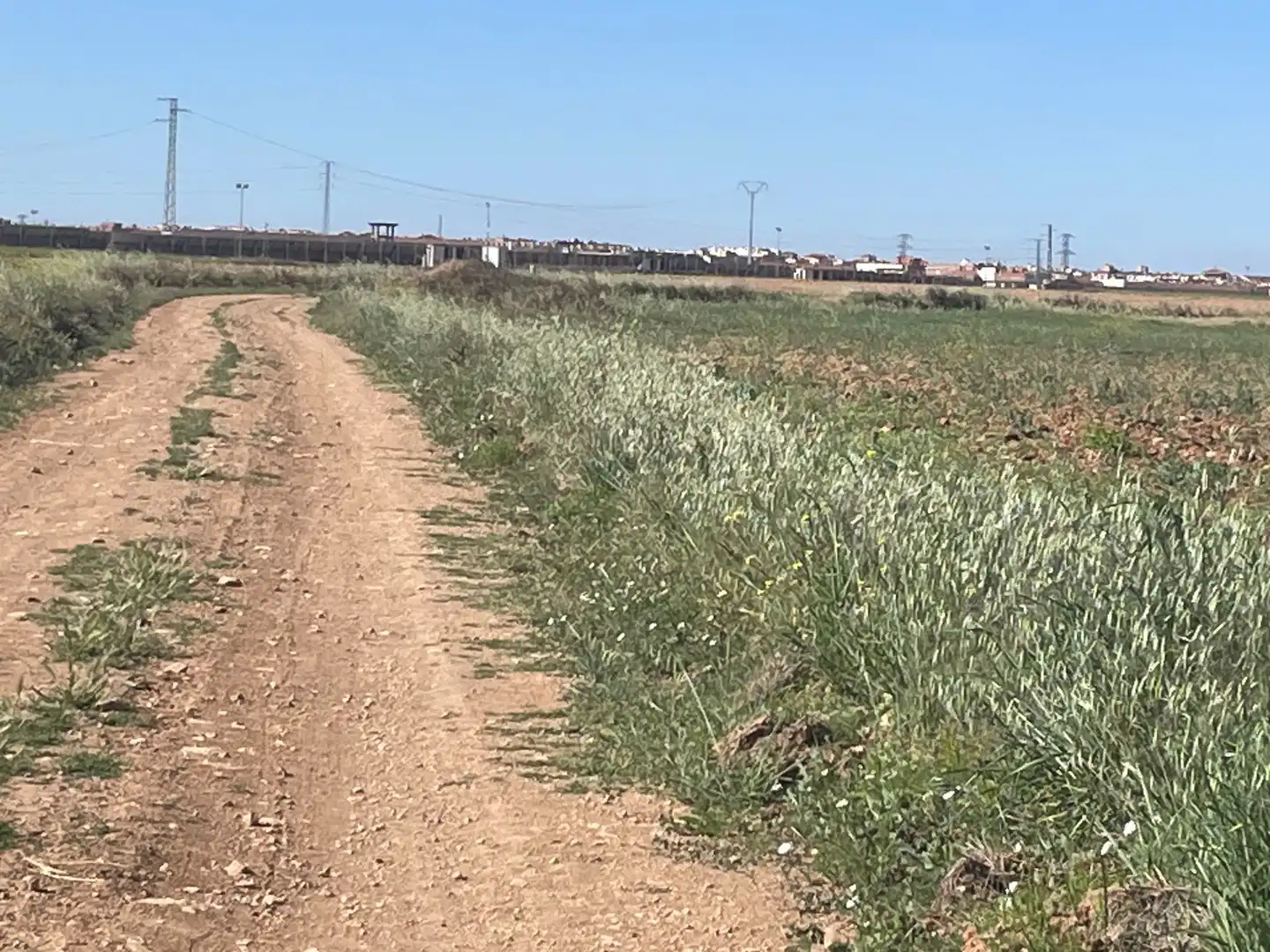 Land for sale in Ocaña