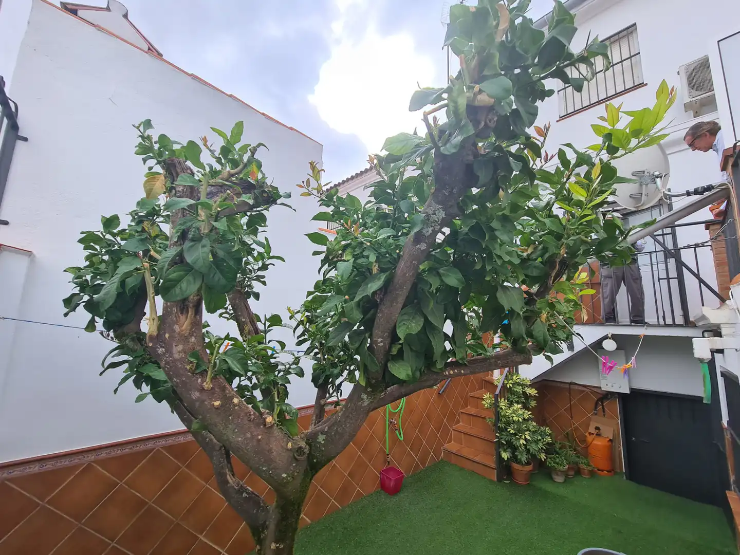 Jardín de Casa adosada en venta en Higuera de la Sierra con Aire acondicionado, Terraza y Trastero