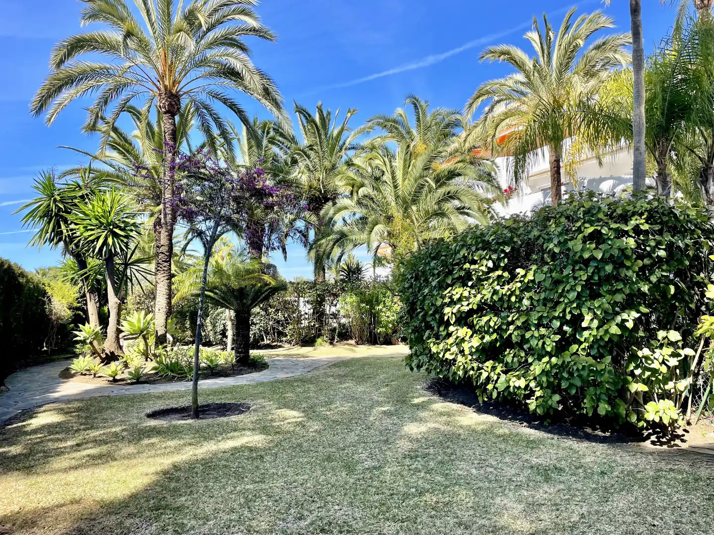 Penthouse with pool for sale in Milla de Oro, imagen 27