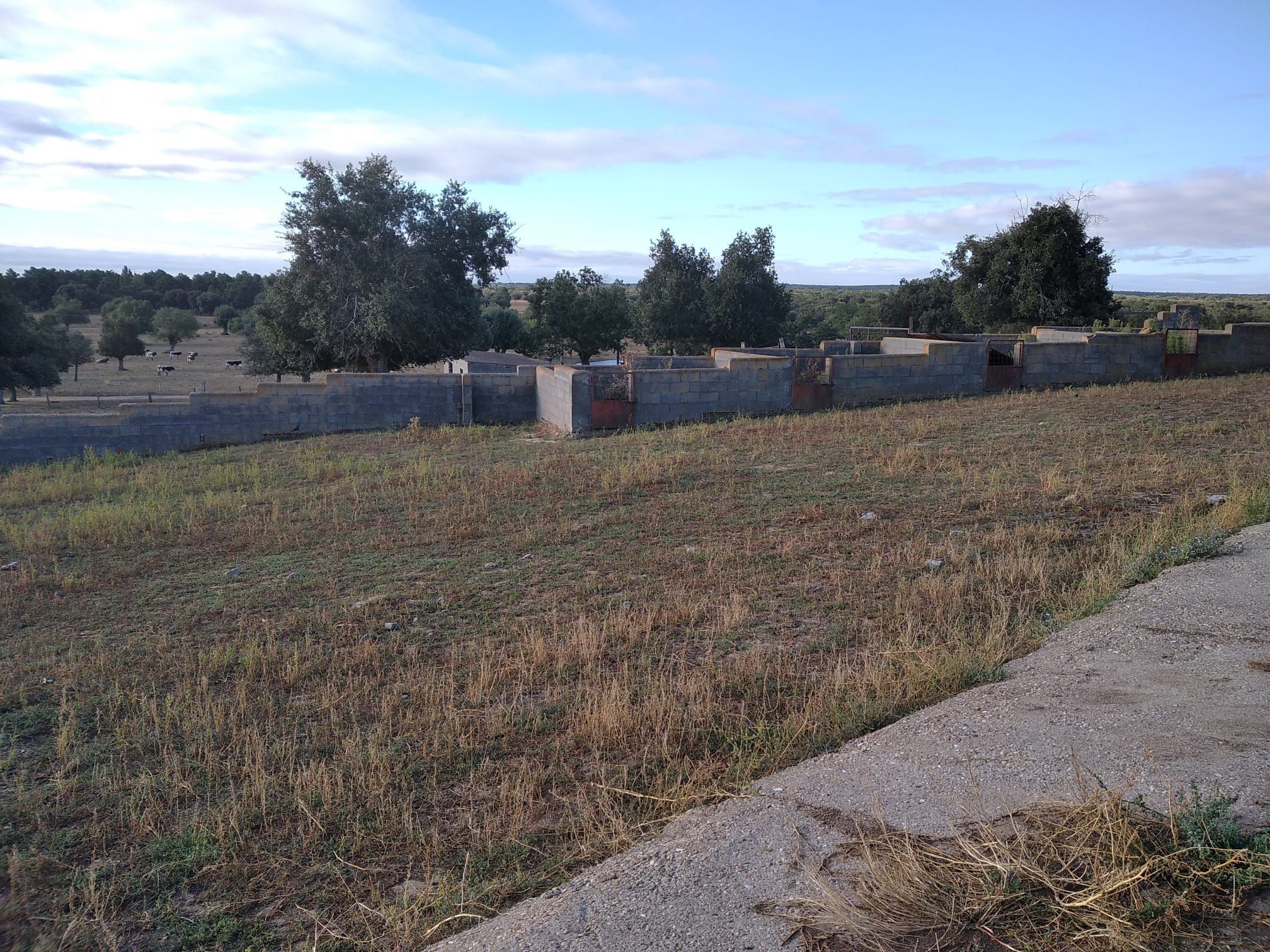 Land for sale in Topas