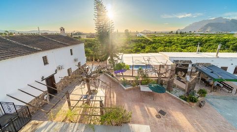 Foto 4 de Finca rústica en venda a Orihuela ciudad, Orihuela