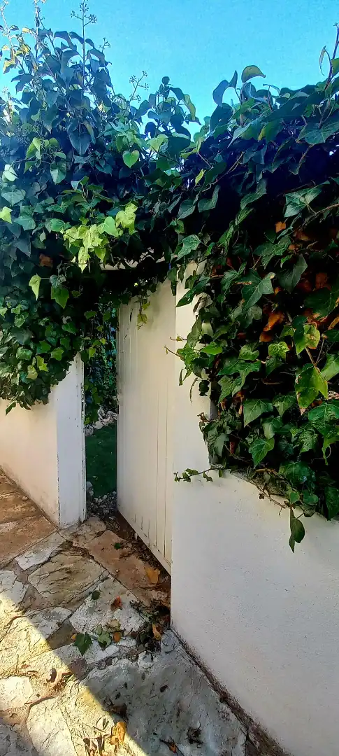 Jardí de Casa o xalet en venda en Ciutadella de Menorca amb Jardí privat, Terrassa i Forn