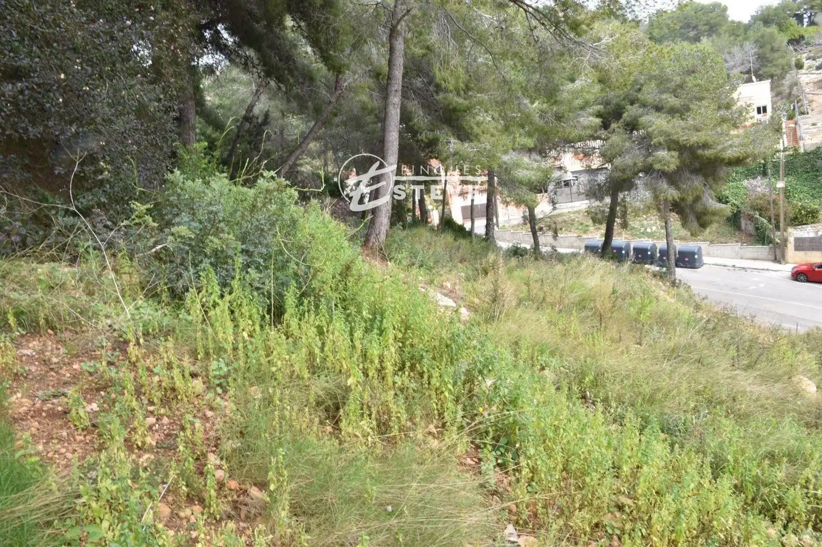 Rural land for sale in GLADIOL, imagen 5