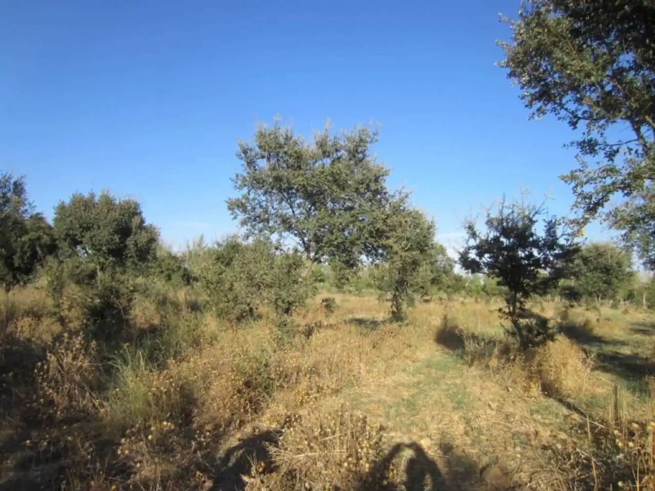 Terreno residencial en venta en Poligono 14, imagen 14